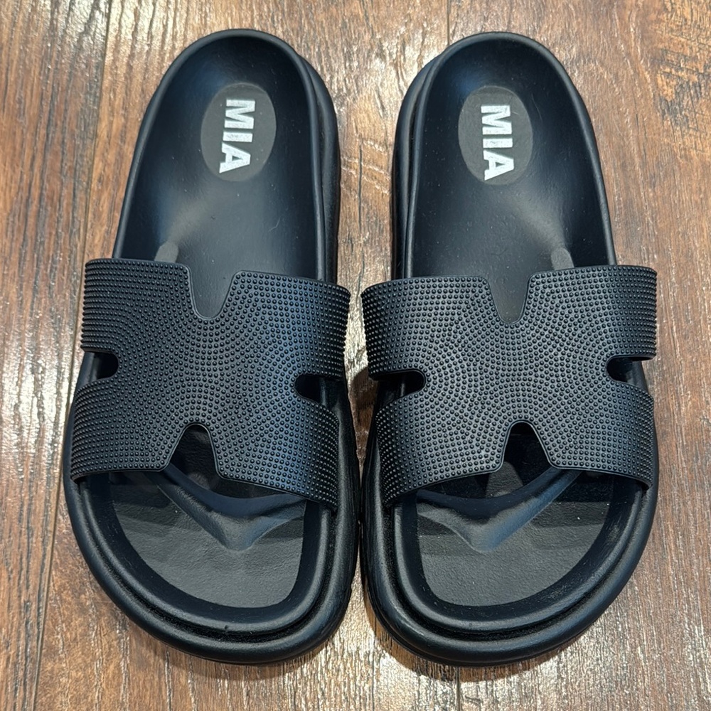 MIA Bertini slides